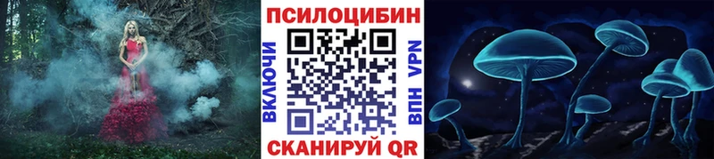 сколько стоит  Бронницы  Псилоцибиновые грибы Psilocybine cubensis 